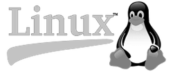 logo-systems-linux-gray